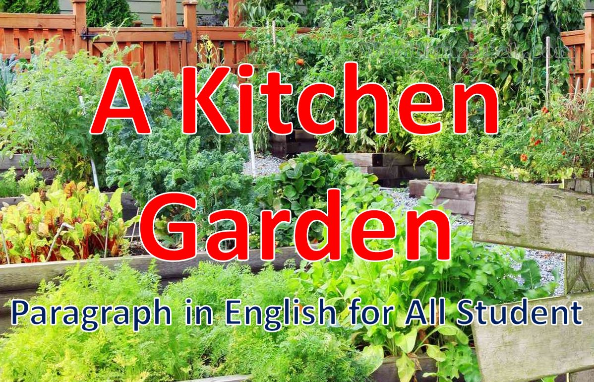 A Kitchen Garden Paragraph in English for All Student