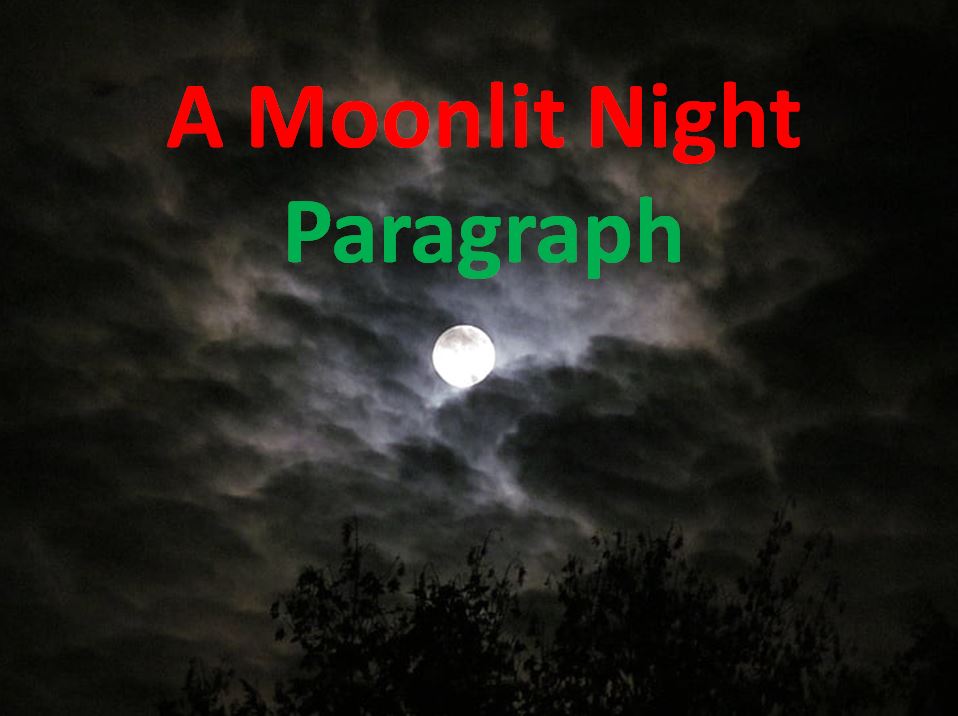 A Moonlit Night Paragraph for any class