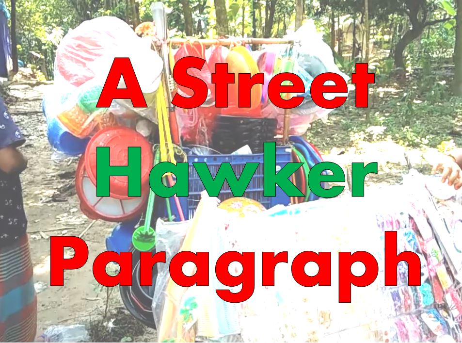 A Street Hawker Paragraph for Any Class