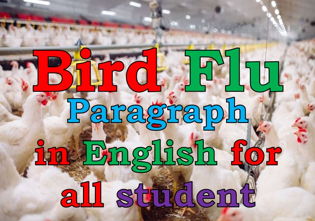 Bird Flu Paragraph in English for All Student
