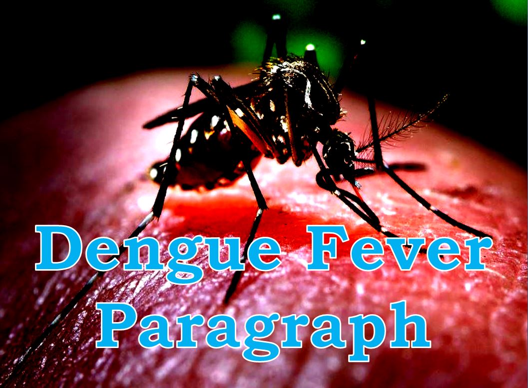 Dengue fever paragraph in english for all student