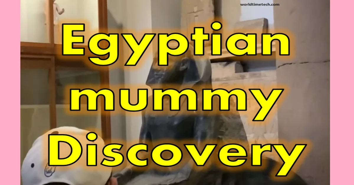Egyptian mummy discovery