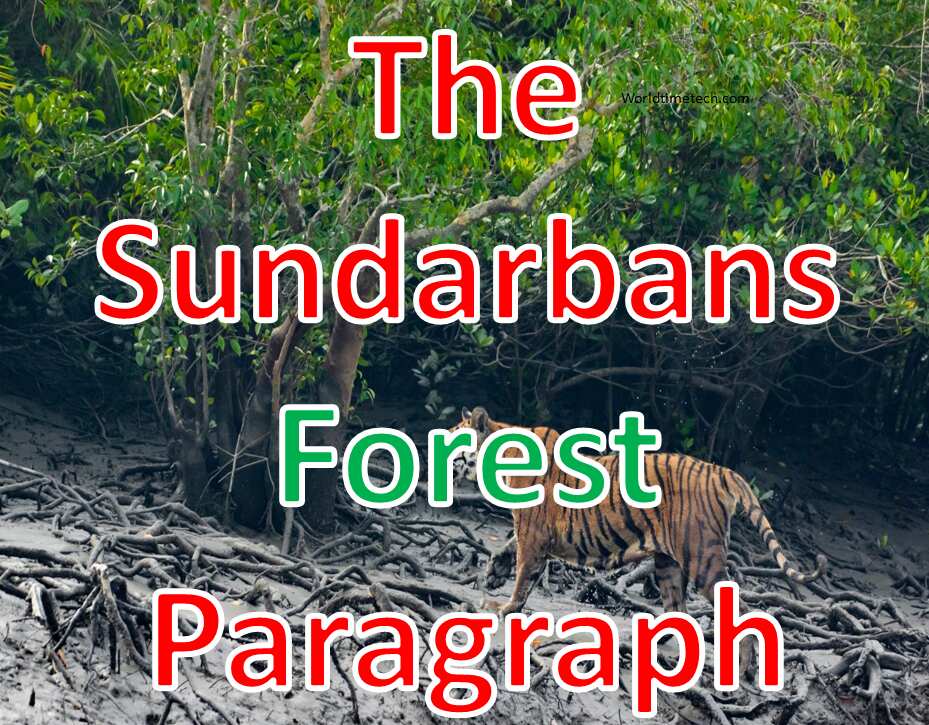The Sundarbans Paragraph 250 words