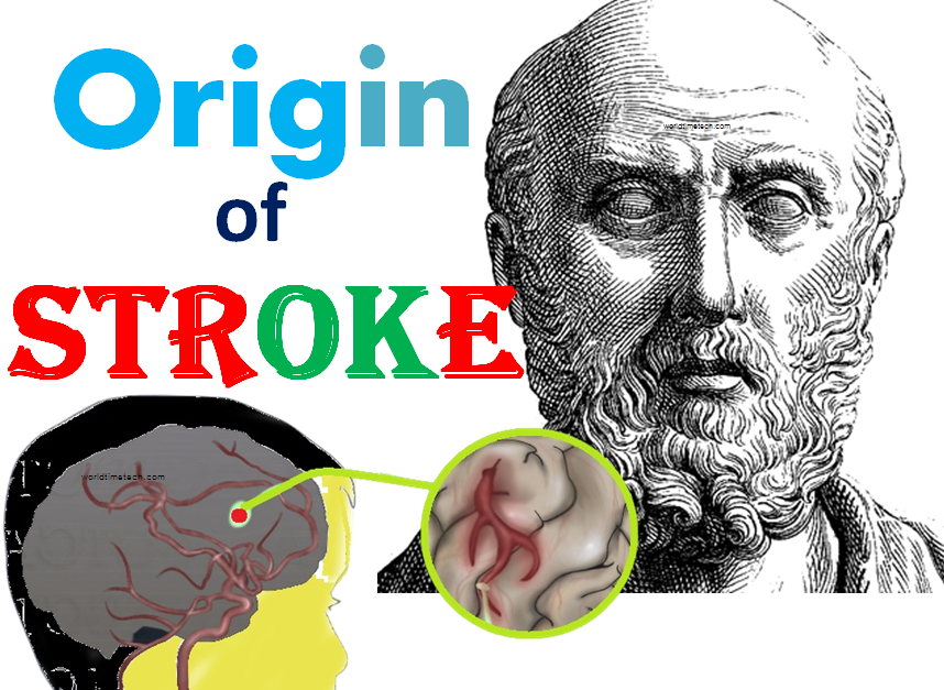 The Origin of Stroke Full History
