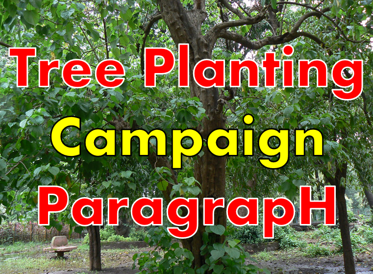 Tree Planting Campaign Paragraph for all Class Students