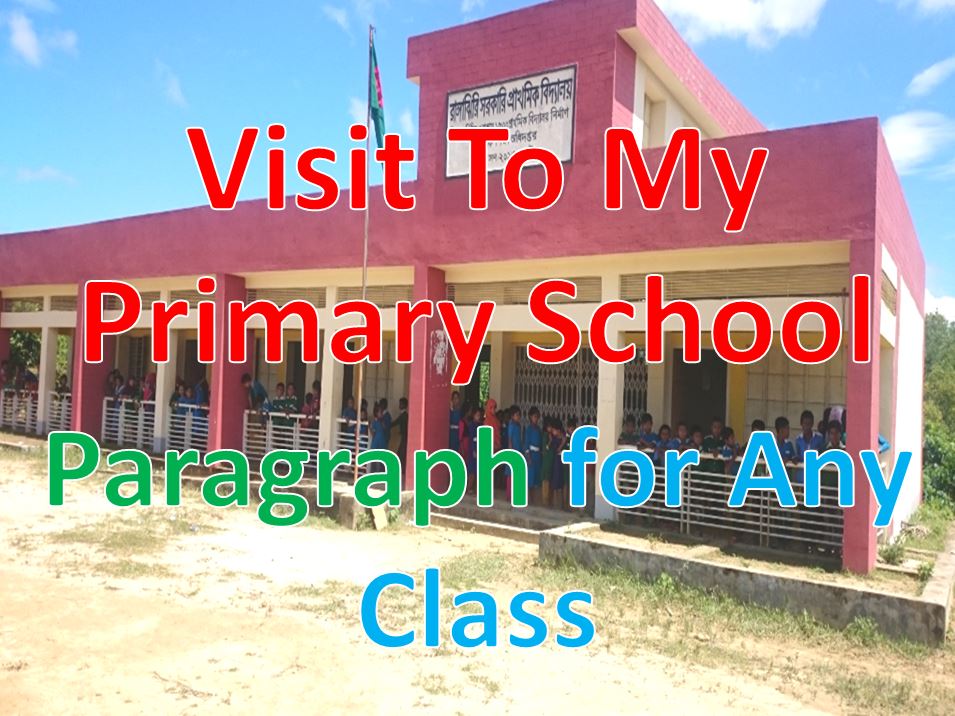 Visit To My Primary School Paragraph for Any Class