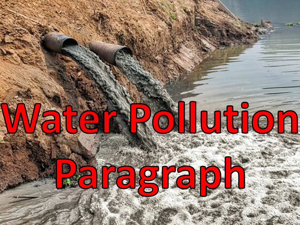 Water Pollution paragraph for Students in English