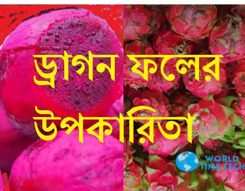 ড্রাগন ফলের অজানা ১৪টি উপকারিতা - Bangla Dragon Fruit Health Benefit