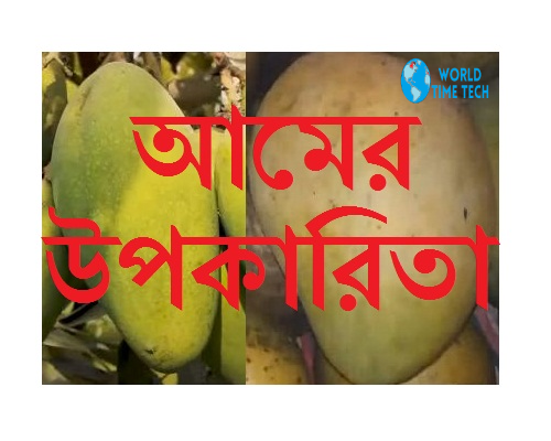 শরীলের উপকারিতা আম - Bangali 15 Benifit Of Mango