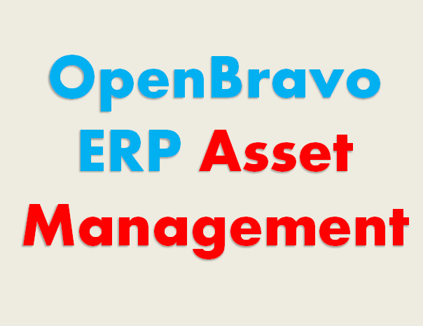 Open Bravo ERP asset management