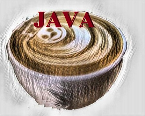 জাভা ভাষা আবিষ্কারের কারণ  - Origin of Java language in bangle