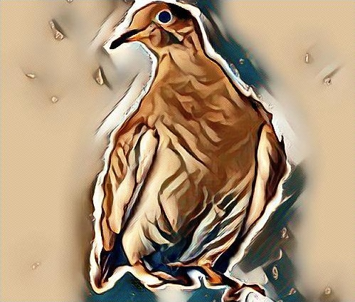 প্যাসেঞ্জার কবুতর বিলুপ্ত - Passenger Pigeon Extinct Bangla