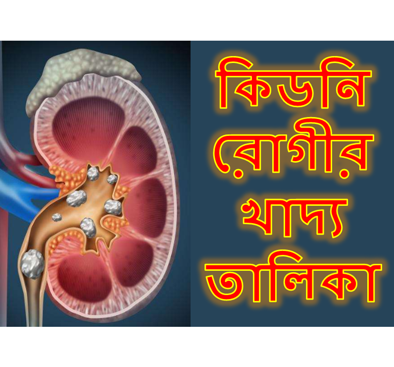 কিডনি রোগীর খাদ্য তালিকা Kidney Rogir Khabar