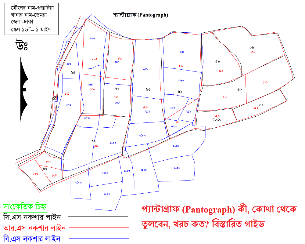 প্যান্টাগ্রাফ (Pantograph) কী, কোথা থেকে তুলবেন, খরচ কত? বিস্তারিত গাইড